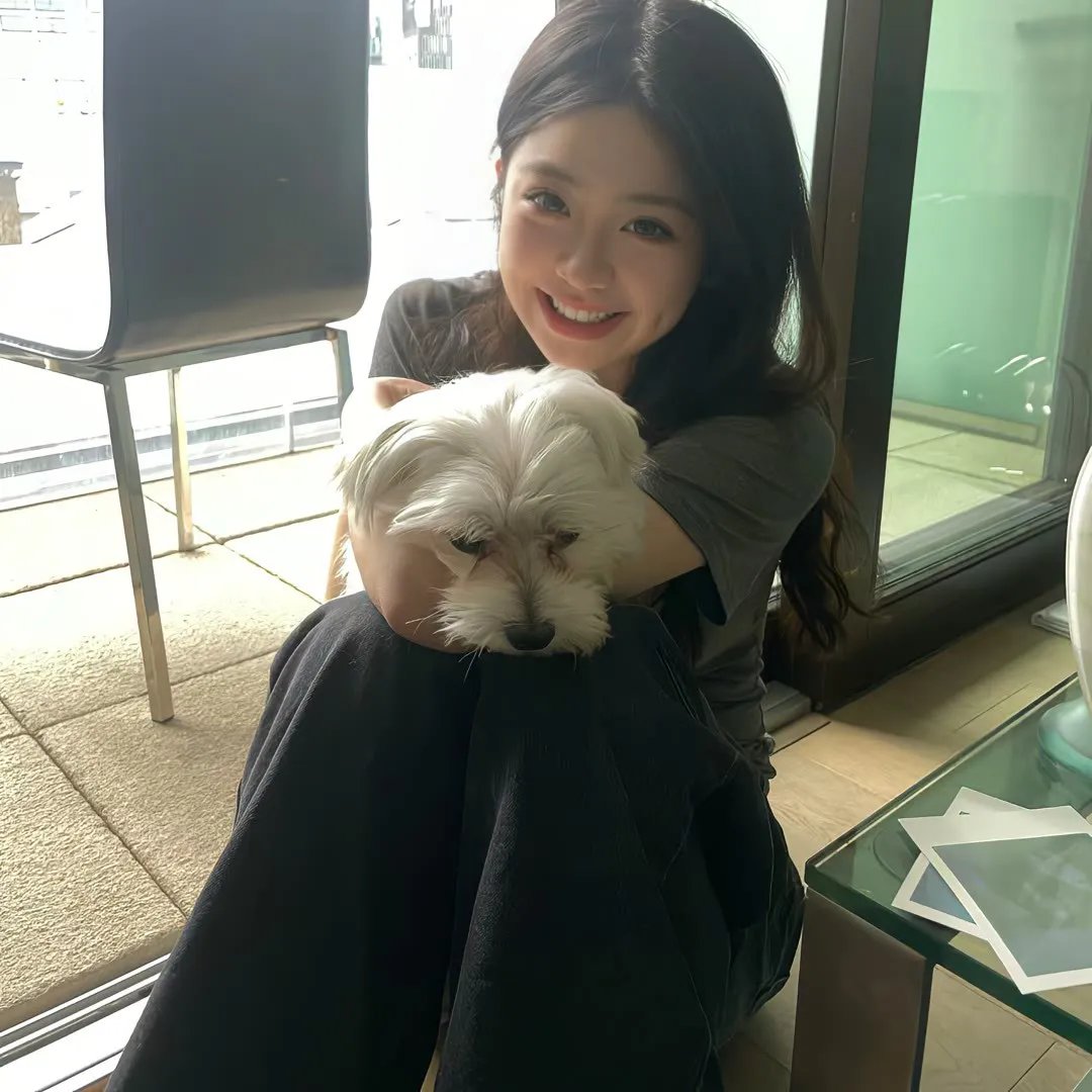 江山美人